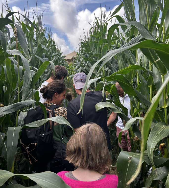 Famille dans le labyrinthe de maïs à Wissant
